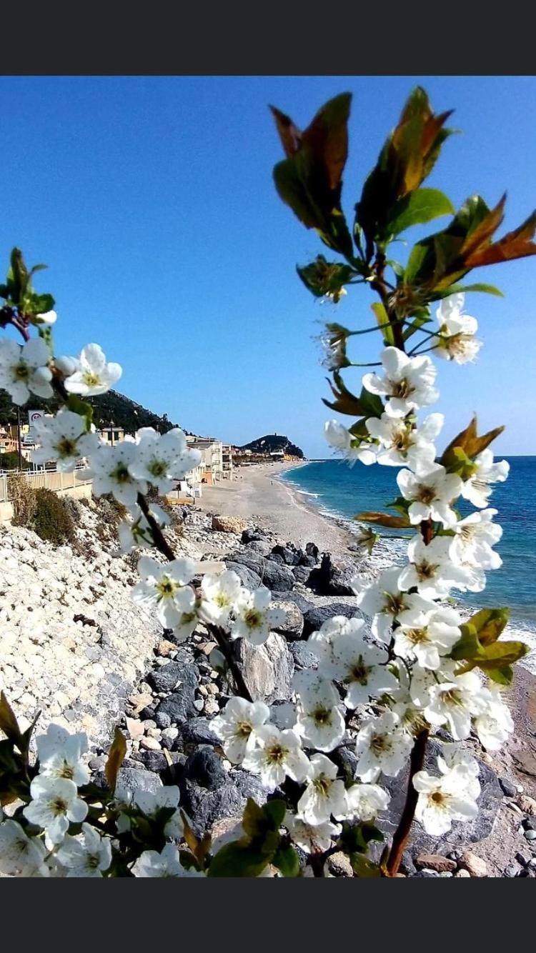 Piccolo Paradiso Bed & Breakfast 3*
